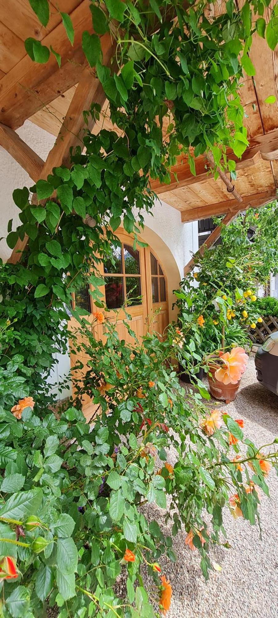 Franz Xaver Apartment *